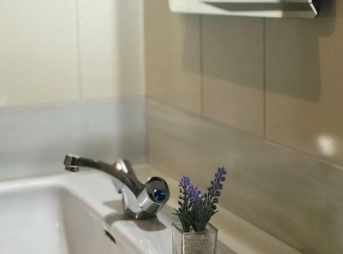 Corrillo Plaza Mayor - Parking Opcional Salamanca